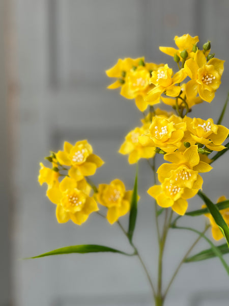 Daffodil Lane Spray | 31.5" | Yellow | NOT CURRENTLY IN STOCK-New For Spring 2026!