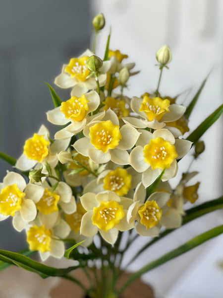 Daffodil Lane Bundle | 19.5" | Follies | NOT CURRENTLY IN STOCK-New For Spring 2026!