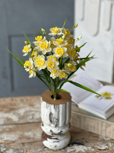 Daffodil Lane Bundle | 19.5" | Follies | NOT CURRENTLY IN STOCK-New For Spring 2026!