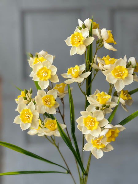 Daffodil Lane Spray | 31.5" | Follies | NOT CURRENTLY IN STOCK-New For Spring 2026!