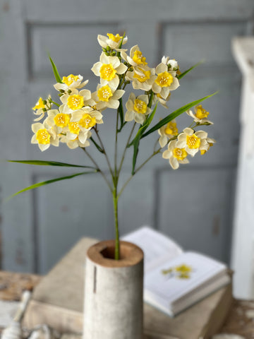 Daffodil Lane Spray | 31.5" | Follies | NOT CURRENTLY IN STOCK-New For Spring 2026!
