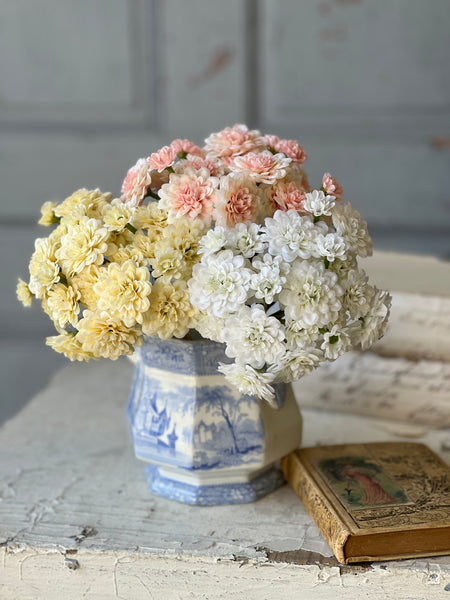 Petal Pusher Bundle | 10.5" | Butter | NOT CURRENTLY IN STOCK-New For Spring 2026!