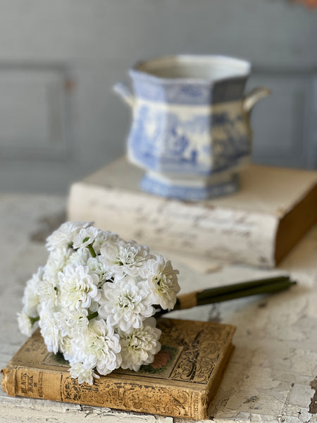 Petal Pusher Bundle | 10.5" | White | NOT CURRENTLY IN STOCK-New For Spring 2026!