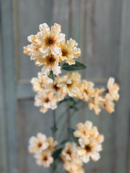 Frill Flower Spray | 39" | Dawning