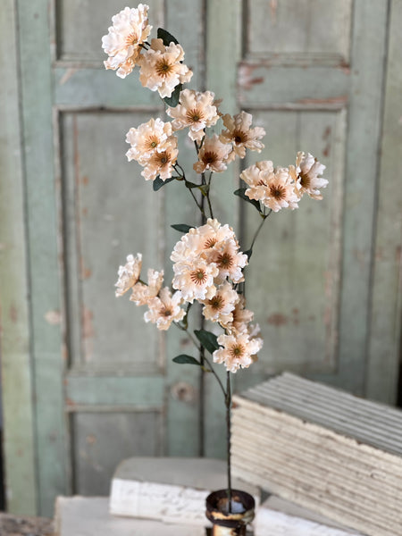 Frill Flower Spray | 39" | Dawning | NOT CURRENTLY IN STOCK-New For Spring 2026!