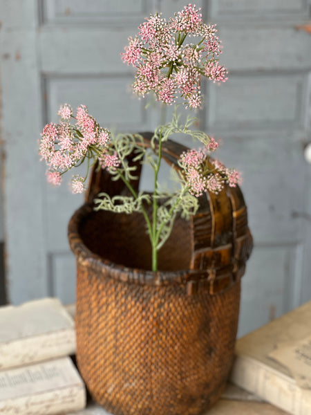Queen Anne's Lace | 35" | Pink | NOT CURRENTLY IN STOCK-New For Spring 2026!