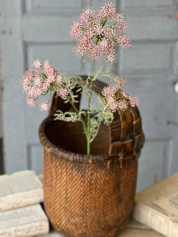 Queen Anne's Lace | 35" | Pink | NOT CURRENTLY IN STOCK-New For Spring 2026!