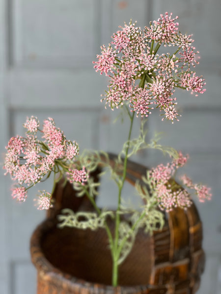 Queen Anne's Lace | 35" | Pink | NOT CURRENTLY IN STOCK-New For Spring 2026!