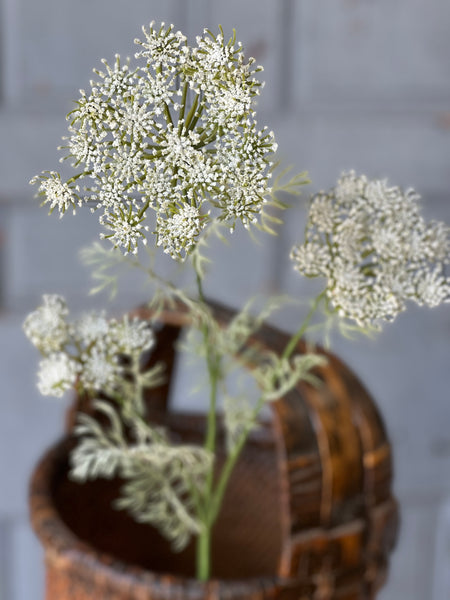 Queen Anne's Lace | 35" | Cream | NOT CURRENTLY IN STOCK-New For Spring 2026!