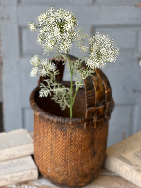 Queen Anne's Lace | 35" | Cream | NOT CURRENTLY IN STOCK-New For Spring 2026!