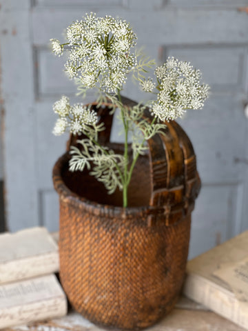 Queen Anne's Lace | 35" | Cream | NOT CURRENTLY IN STOCK-New For Spring 2026!