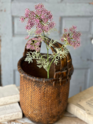 Queen Anne's Lace | 35" | Purple | NOT CURRENTLY IN STOCK-New For Spring 2026!