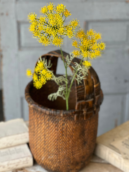 Queen Anne's Lace | 35" | Yellow | NOT CURRENTLY IN STOCK-New For Spring 2026!