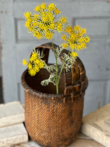 Queen Anne's Lace | 35" | Yellow | NOT CURRENTLY IN STOCK-New For Spring 2026!