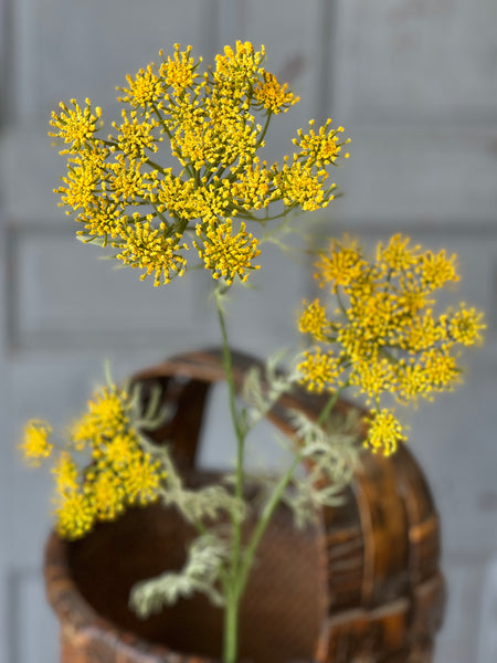 Queen Anne's Lace | 35" | Yellow | NOT CURRENTLY IN STOCK-New For Spring 2026!