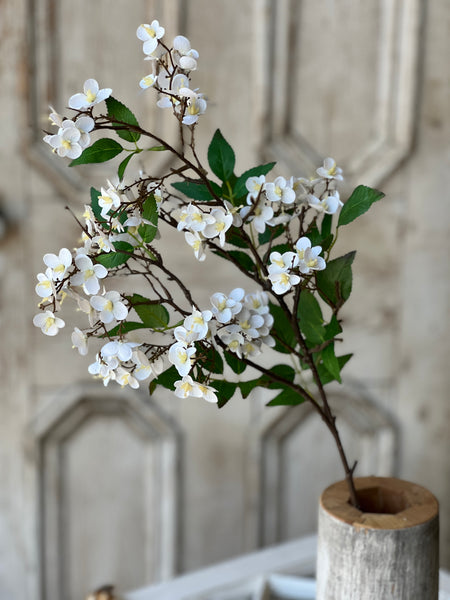 Canterbury Hydrangea | 32" | White