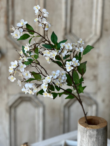 Canterbury Hydrangea | 32" | White