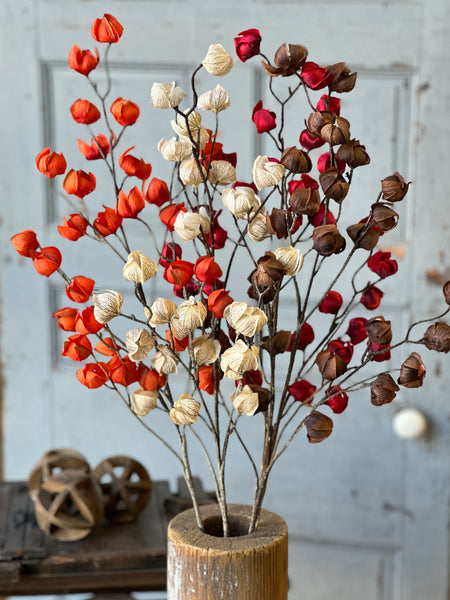 Kindle Pod Spray | 38" | Scarlet | NEW CLOSEOUT + CLEAN UP SPECIAL!  From $3.30 - Last 48pcs!