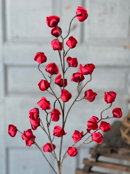 Kindle Pod Spray | 38" | Scarlet | NEW CLOSEOUT + CLEAN UP SPECIAL!  From $3.30 - Last 48pcs!