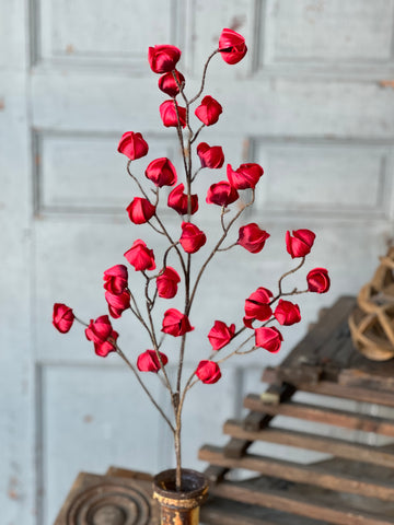 Kindle Pod Spray | 38" | Scarlet | NEW CLOSEOUT + CLEAN UP SPECIAL!  From $3.30 - Last 48pcs!