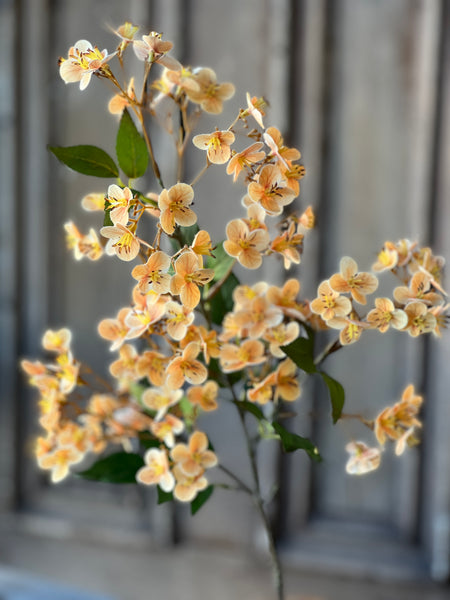 Chaucer Hydrangea | 32" | Amber | SOLD OUT