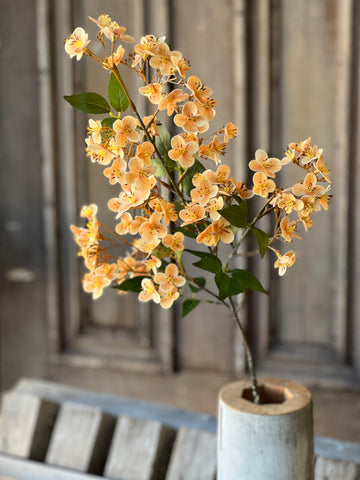 Chaucer Hydrangea | 32" | Amber | SOLD OUT