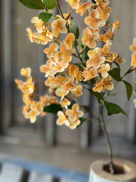 Chaucer Hydrangea | 32" | Amber | SOLD OUT
