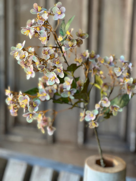 Chaucer Hydrangea | 32" | Dream | SOLD OUT