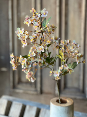 Chaucer Hydrangea | 32" | Dream | SOLD OUT