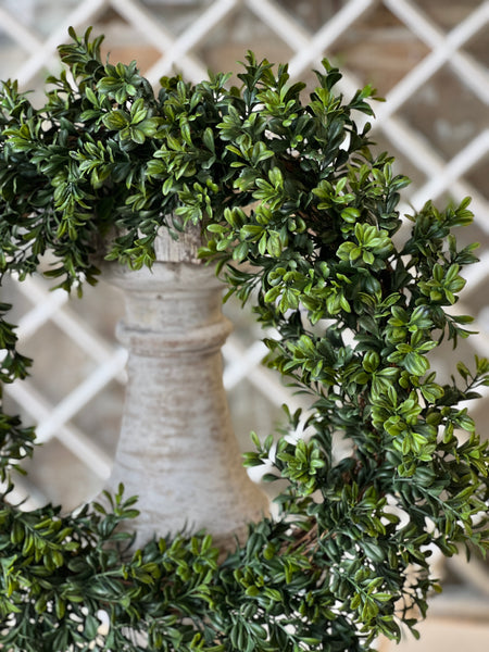 Galilee Boxwood Wreath | 18" | NOT CURRENTLY IN STOCK - ETA December