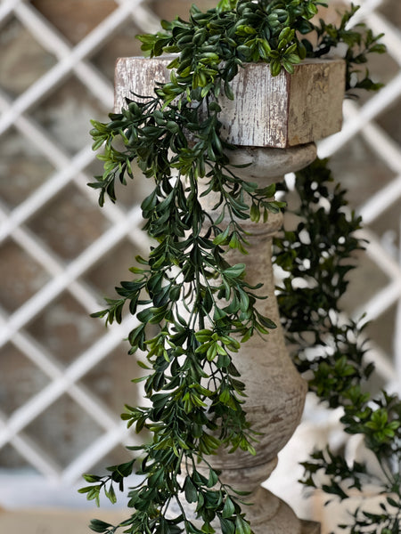 Galilee Boxwood Garland | 6' | NOT CURRENTLY IN STOCK - ETA December