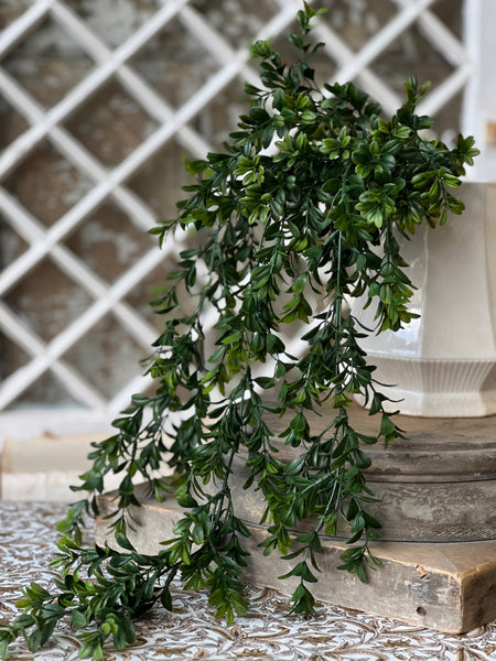 Galilee Boxwood Hanging | 32" | NOT CURRENTLY IN STOCK - ETA December