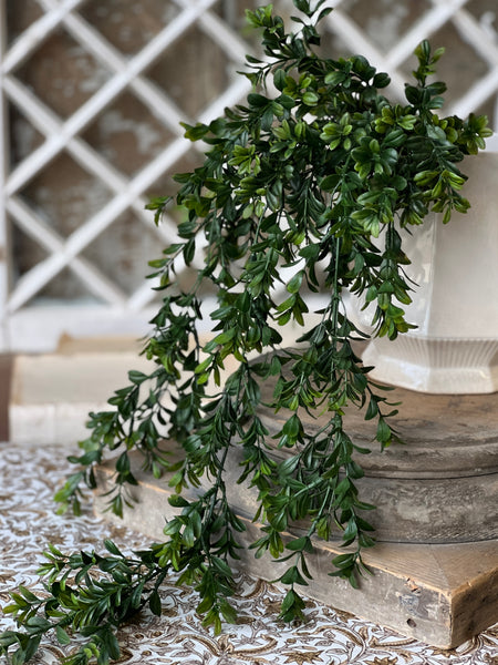 Galilee Boxwood Hanging | 32" | NOT CURRENTLY IN STOCK - ETA December