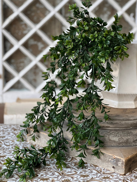 Galilee Boxwood Hanging | 32" | NOT CURRENTLY IN STOCK - ETA December
