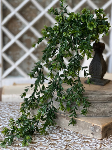 Galilee Boxwood Hanging | 32" | NOT CURRENTLY IN STOCK - ETA December