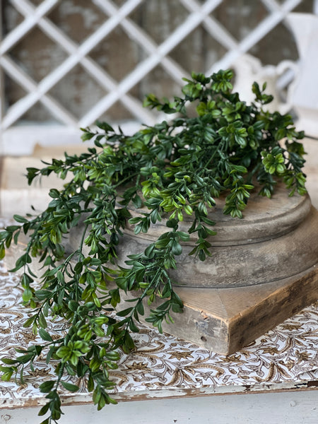 Galilee Boxwood Hanging | 32" | NOT CURRENTLY IN STOCK - ETA December