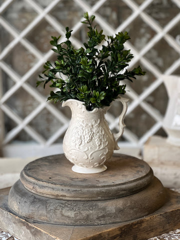 Galilee Boxwood Bush | 12" | NOT CURRENTLY IN STOCK - ETA December