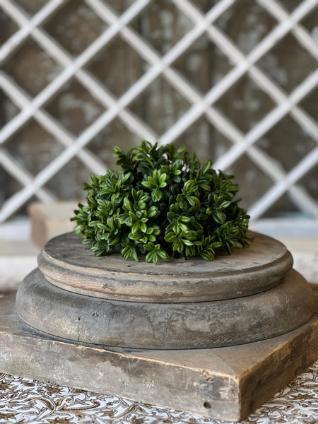 Galilee Boxwood Half Sphere | 7" | NOT CURRENTLY IN STOCK - ETA December