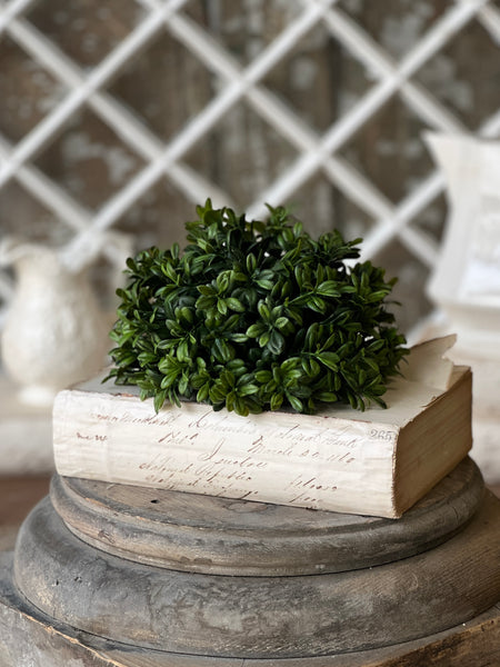Galilee Boxwood Half Sphere | 7" | NOT CURRENTLY IN STOCK - ETA December