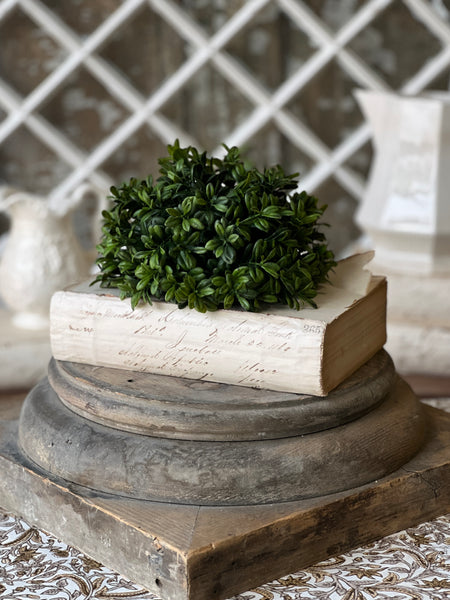 Galilee Boxwood Half Sphere | 7" | NOT CURRENTLY IN STOCK - ETA December