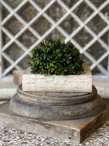 Galilee Boxwood Half Sphere | 7" | NOT CURRENTLY IN STOCK - ETA December