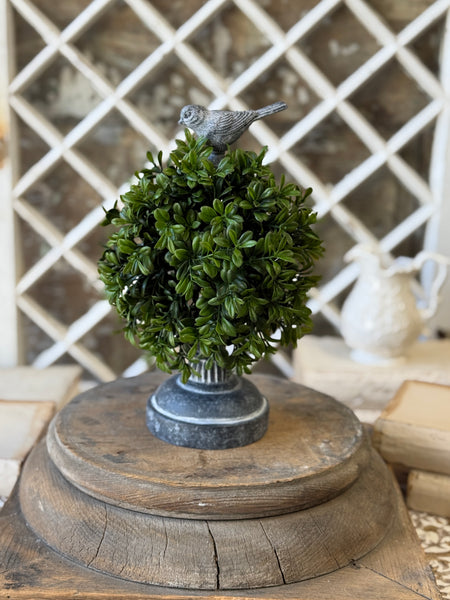 Galilee Topiary | 13" | Finch | NOT CURRENTLY IN STOCK-New For Spring 2027!