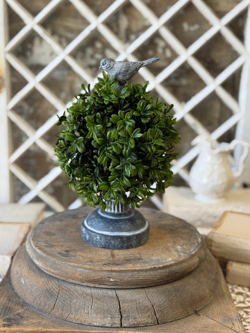 Galilee Topiary | 11" | Finch | NOT CURRENTLY IN STOCK-New For Spring 2027!