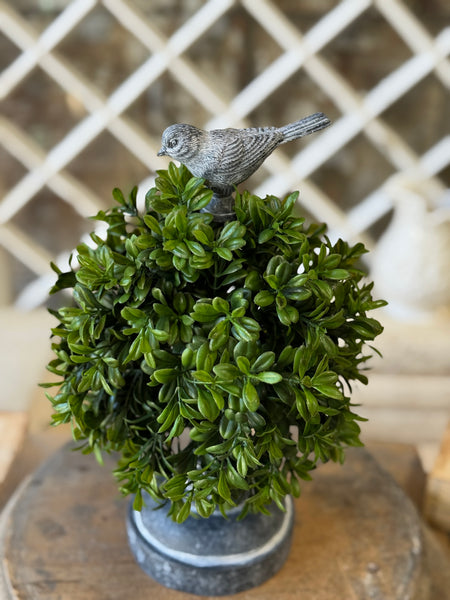 Galilee Topiary | 13" | Finch | NOT CURRENTLY IN STOCK-New For Spring 2027!