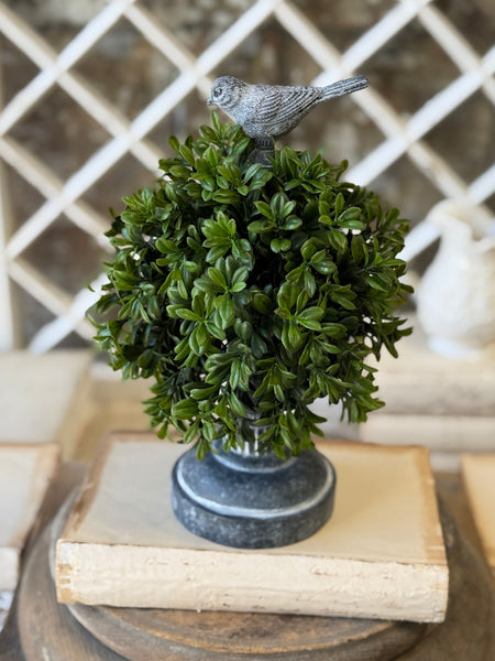 Galilee Topiary | 13" | Finch | NOT CURRENTLY IN STOCK-New For Spring 2027!
