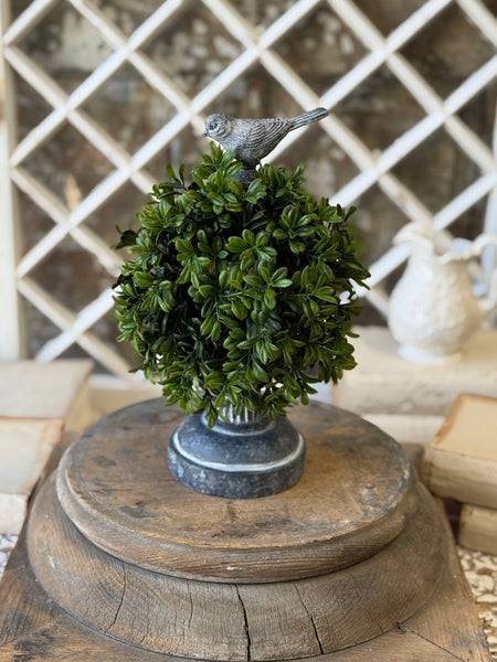 Galilee Topiary | 13" | Finch | NOT CURRENTLY IN STOCK-New For Spring 2027!