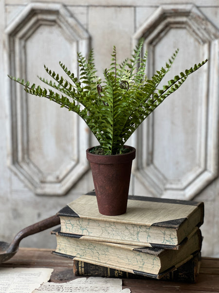 Foundry Potted Fern | 12" | Boston | NOT CURRENTLY IN STOCK - ETA December