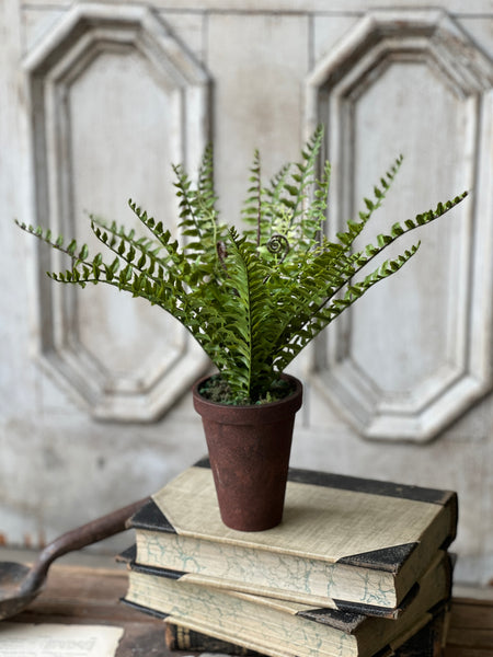 Foundry Potted Fern | 12" | Boston | NOT CURRENTLY IN STOCK - ETA December