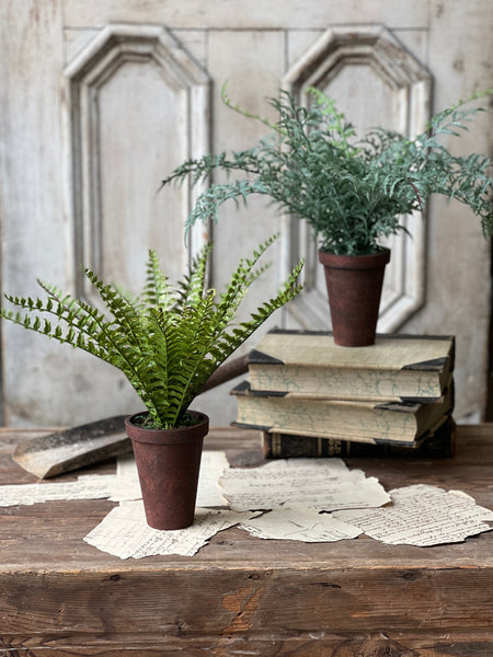 Foundry Potted Fern | 12" | Boston | NOT CURRENTLY IN STOCK - ETA December