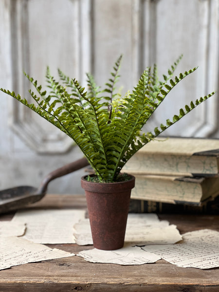 Foundry Potted Fern | 12" | Boston | NOT CURRENTLY IN STOCK - ETA December